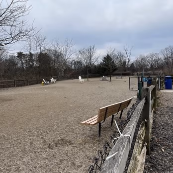 Carnegie Dog Park photo 2